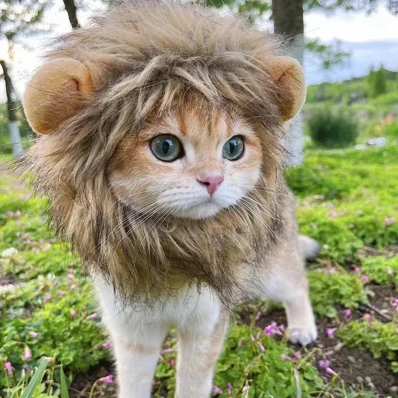 WildPaws™ Lion Mane Costume for Cats & Small Dogs
