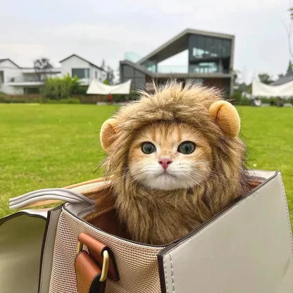 WildPaws™ Lion Mane Costume for Cats & Small Dogs